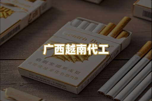 广西越南代工
